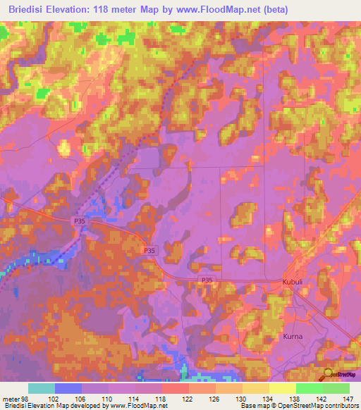 Briedisi,Latvia Elevation Map