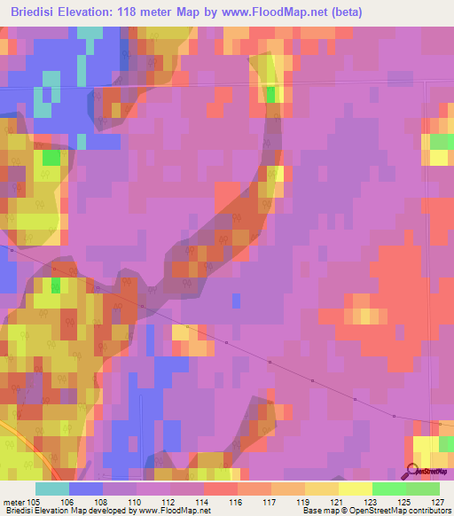 Briedisi,Latvia Elevation Map