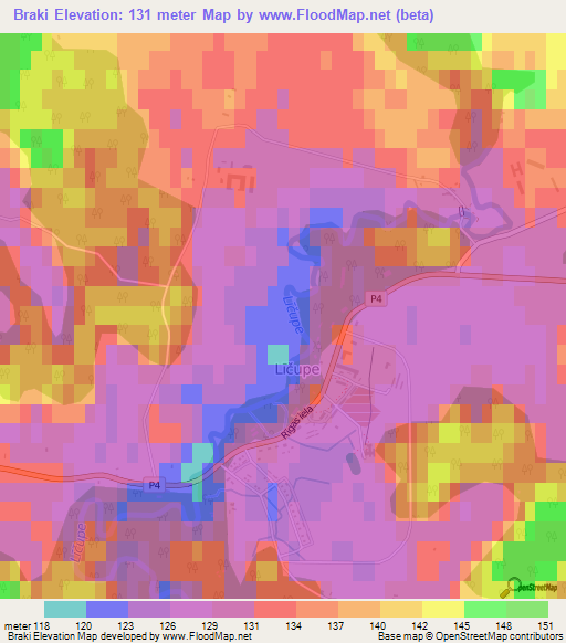 Braki,Latvia Elevation Map