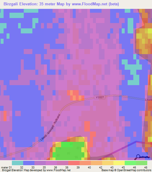 Birzgali,Latvia Elevation Map