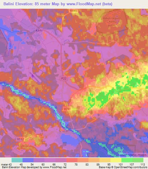 Balini,Latvia Elevation Map