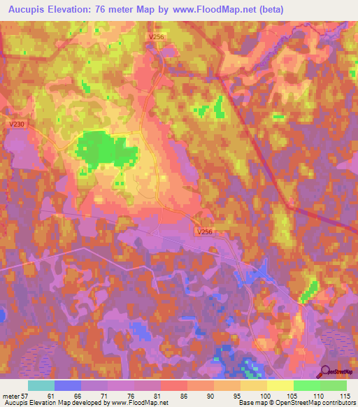 Aucupis,Latvia Elevation Map