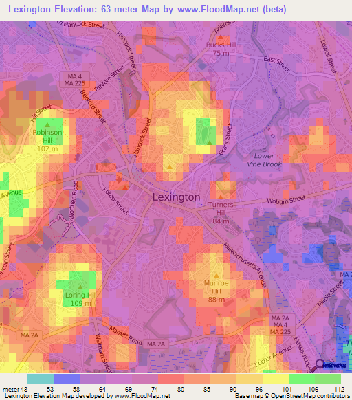 Lexington,US Elevation Map