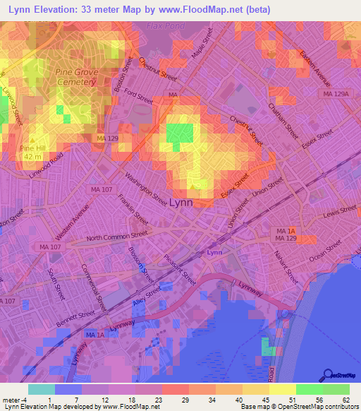 Lynn,US Elevation Map