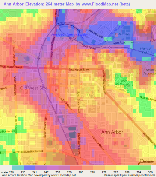 Ann Arbor,US Elevation Map