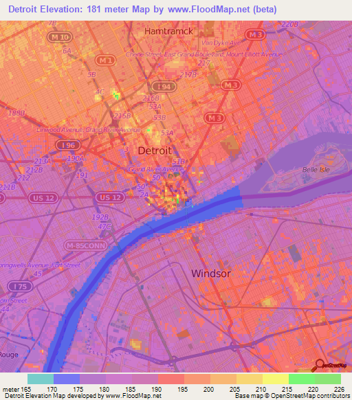 Detroit,US Elevation Map