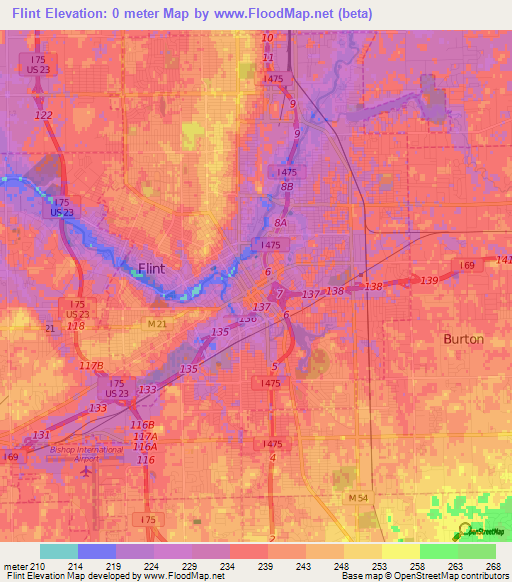 Flint,US Elevation Map