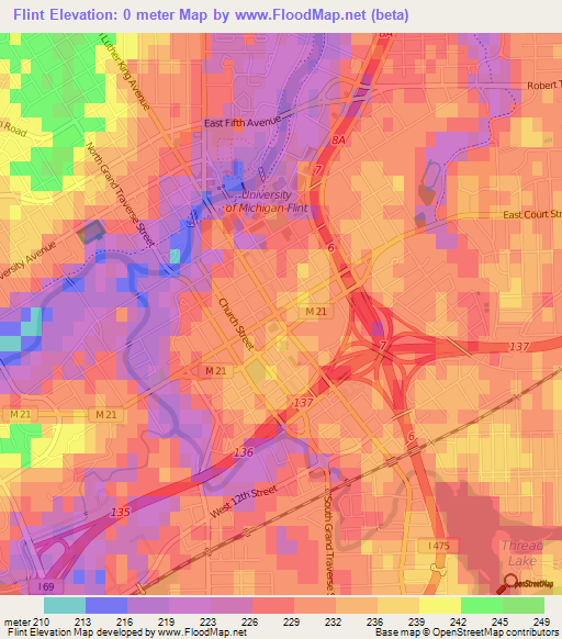 Flint,US Elevation Map