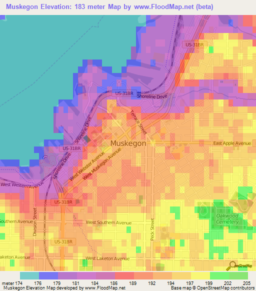 Muskegon,US Elevation Map