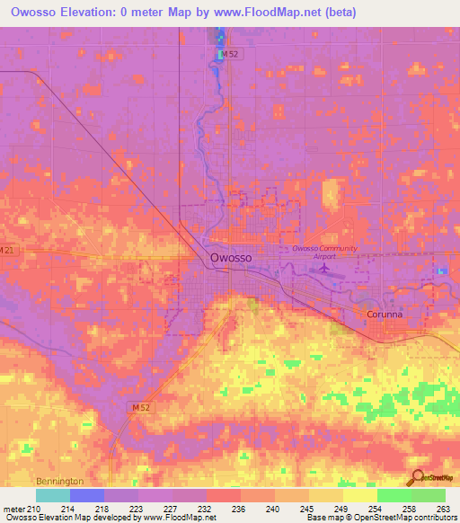 Owosso,US Elevation Map