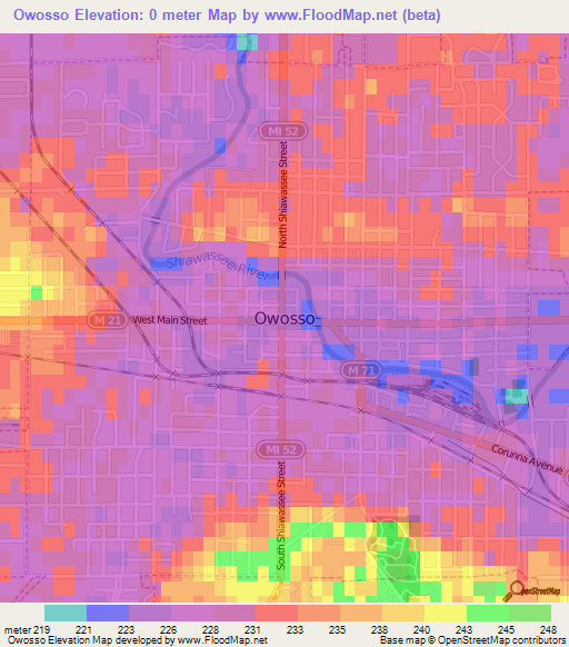 Owosso,US Elevation Map