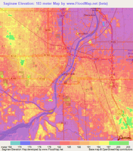 Saginaw,US Elevation Map