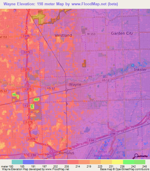 Wayne,US Elevation Map