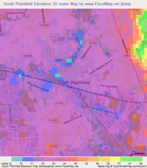 South Plainfield,US Elevation Map