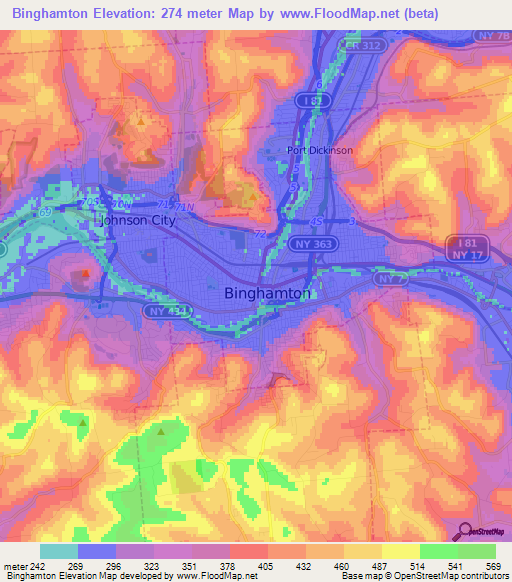 Binghamton,US Elevation Map