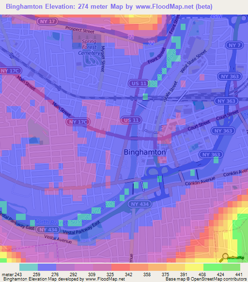 Binghamton,US Elevation Map