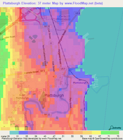 Plattsburgh,US Elevation Map