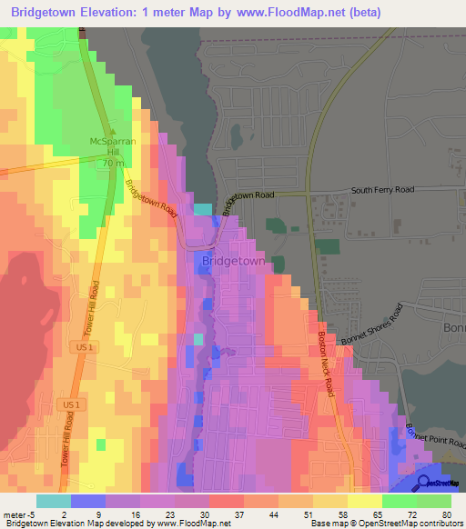 Bridgetown,US Elevation Map