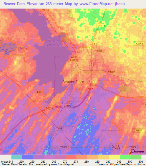 Beaver Dam,US Elevation Map