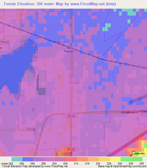 Tomah,US Elevation Map