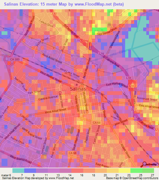 Salinas,US Elevation Map