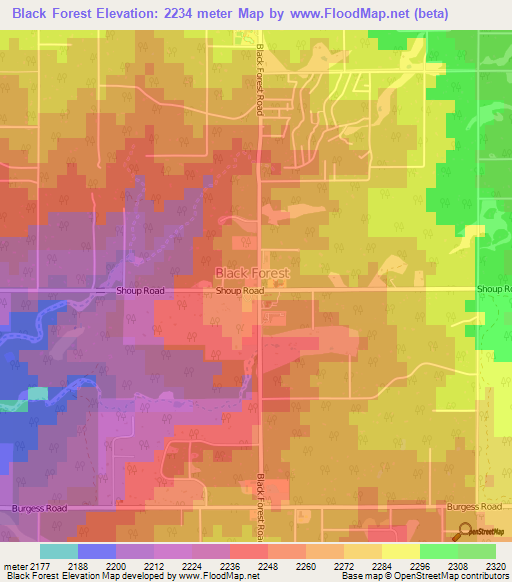 Black Forest,US Elevation Map