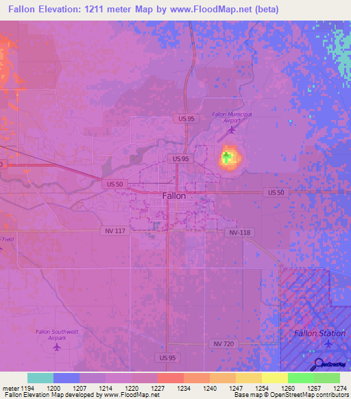 Fallon,US Elevation Map