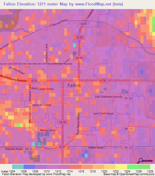 Fallon,US Elevation Map