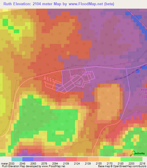 Ruth,US Elevation Map