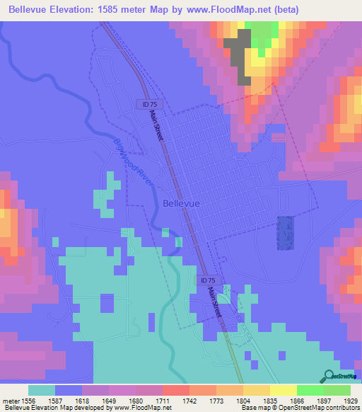 Bellevue,US Elevation Map