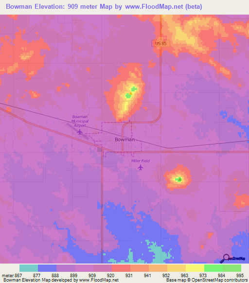 Bowman,US Elevation Map