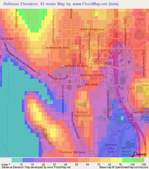 Bellevue,US Elevation Map