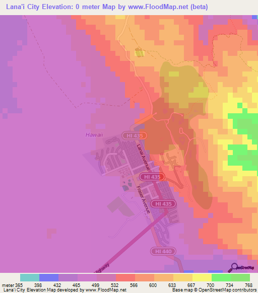 Lana'i City,US Elevation Map