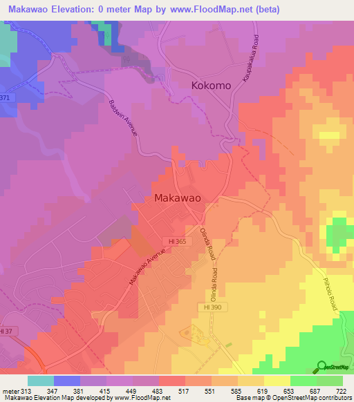 Makawao,US Elevation Map