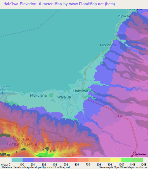 Hale'iwa,US Elevation Map