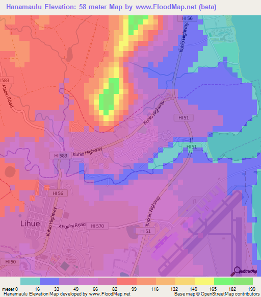 Hanamaulu,US Elevation Map