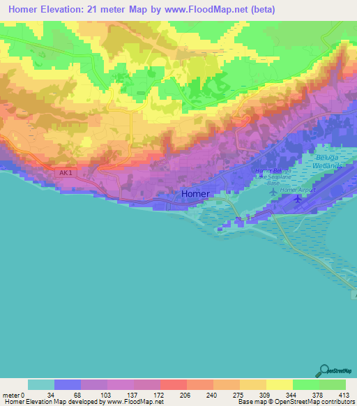 Homer,US Elevation Map