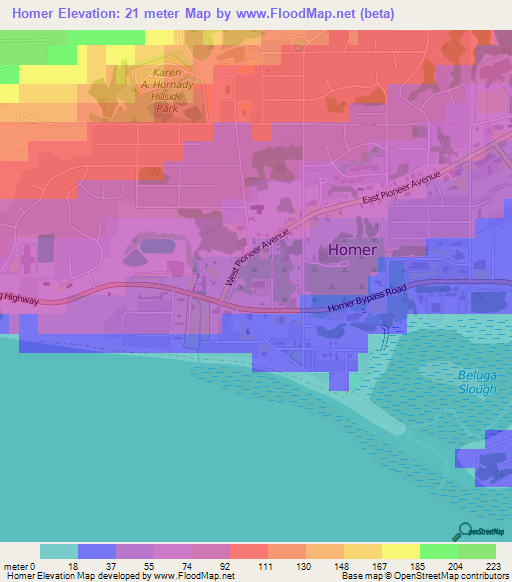 Homer,US Elevation Map