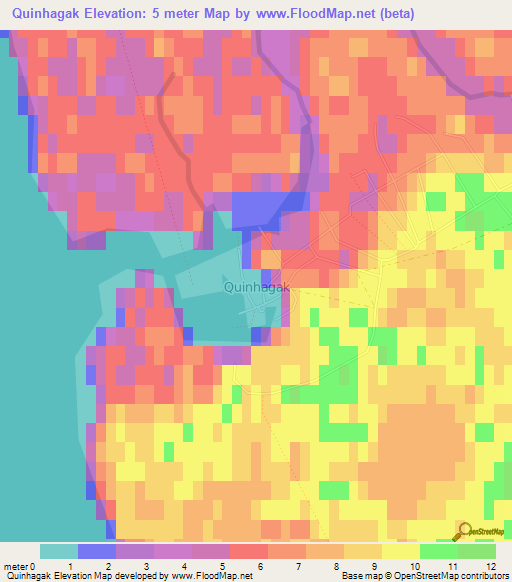 Quinhagak,US Elevation Map