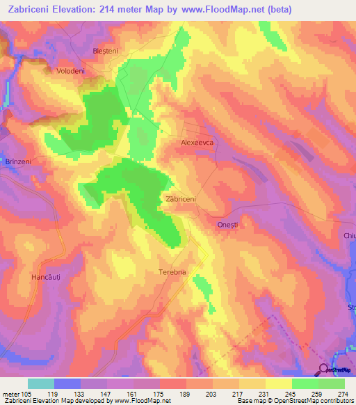 Zabriceni,Moldova Elevation Map