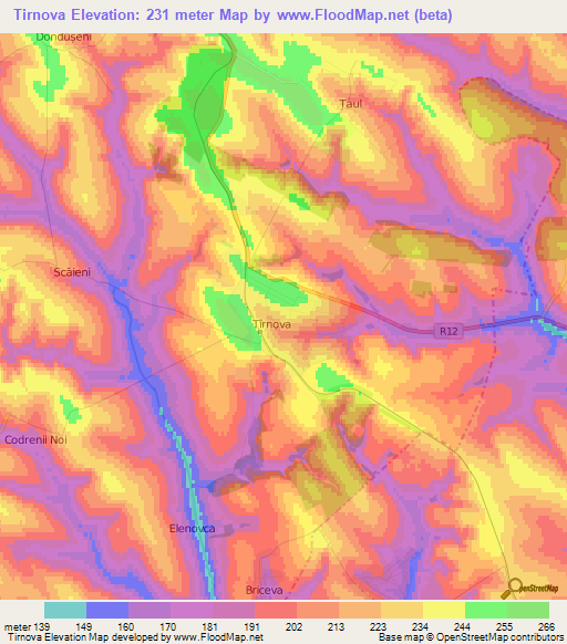 Tirnova,Moldova Elevation Map