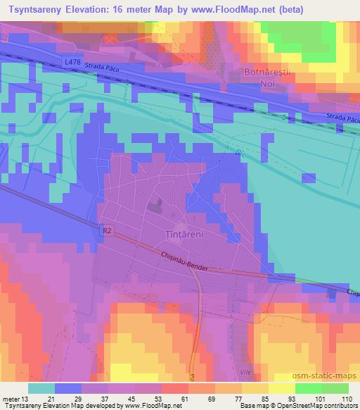 Tsyntsareny,Moldova Elevation Map