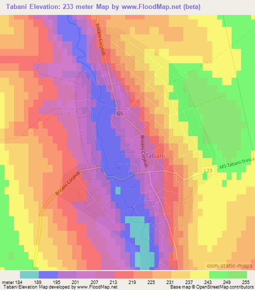 Tabani,Moldova Elevation Map