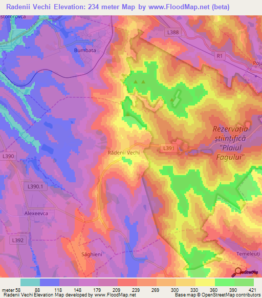 Radenii Vechi,Moldova Elevation Map