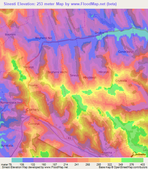 Sinesti,Moldova Elevation Map