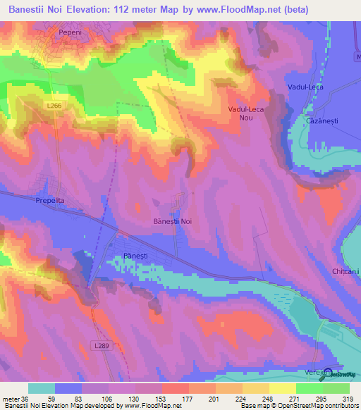 Banestii Noi,Moldova Elevation Map