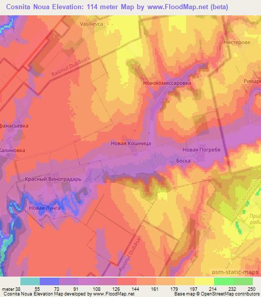 Cosnita Noua,Moldova Elevation Map