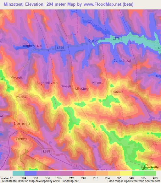 Minzatesti,Moldova Elevation Map