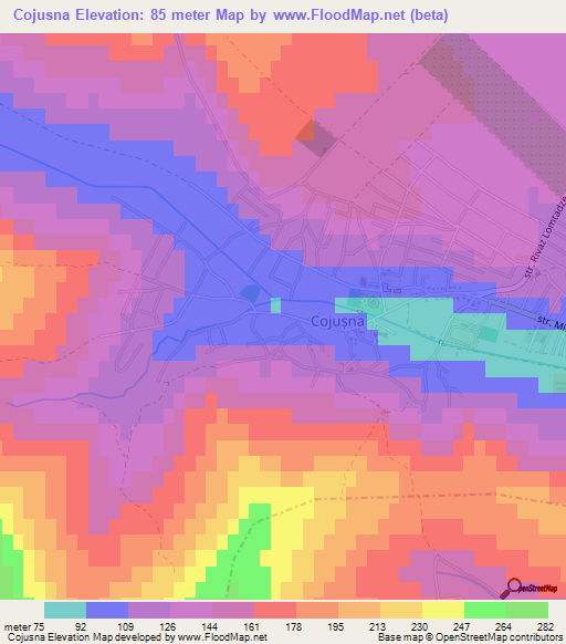 Cojusna,Moldova Elevation Map