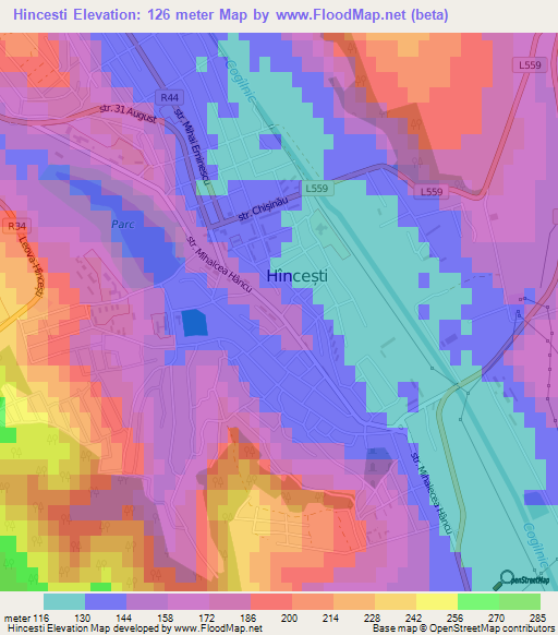 Hincesti,Moldova Elevation Map